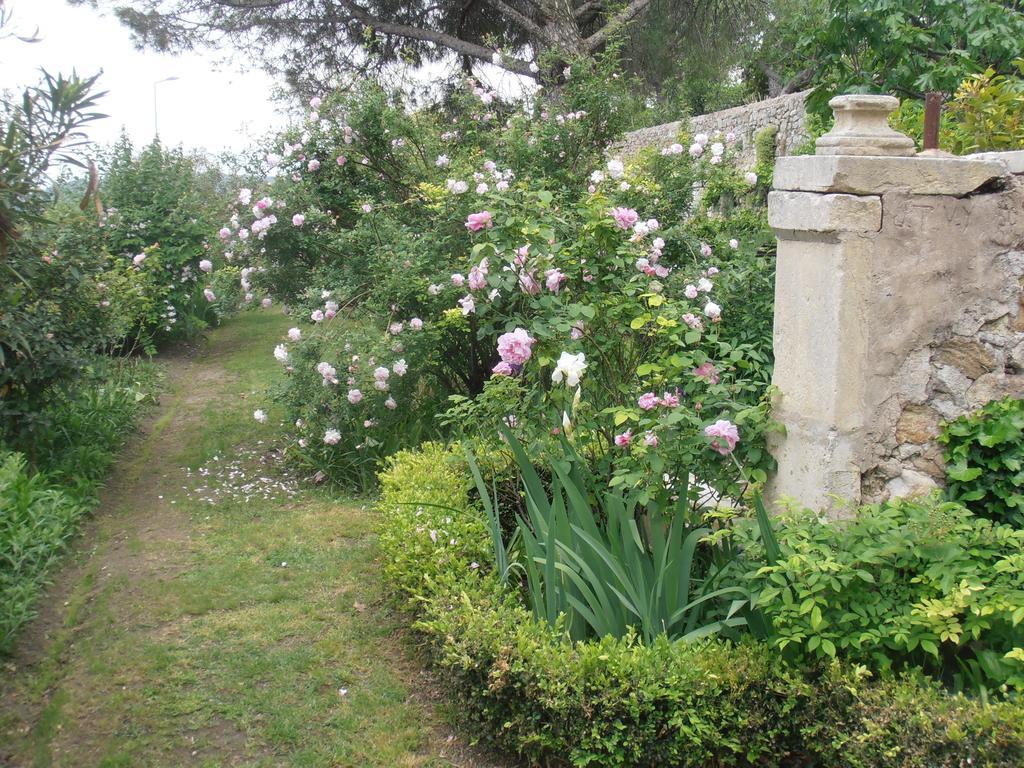 Le Seminaire Bed & Breakfast Roussas Eksteriør bilde