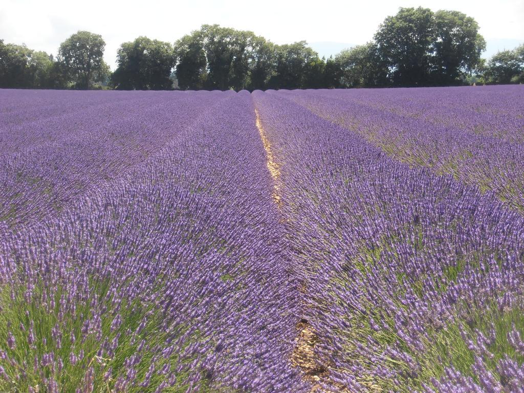 Le Seminaire Bed & Breakfast Roussas Eksteriør bilde