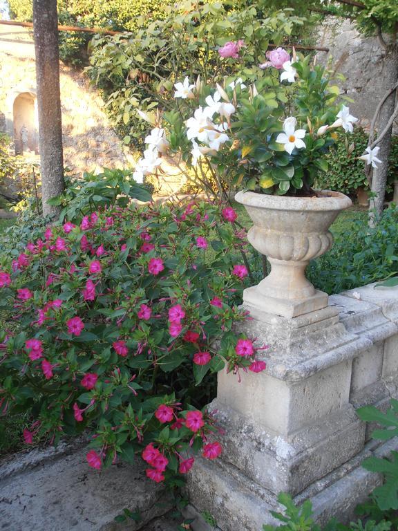 Le Seminaire Bed & Breakfast Roussas Eksteriør bilde